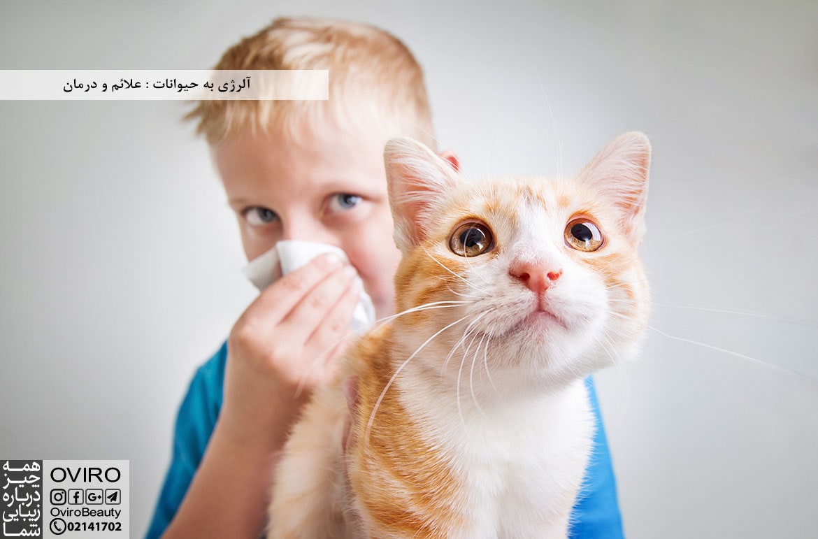 آلرژی به حیوانات : علائم و درمان